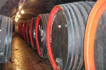 Nejvyšší světové vinařské autority míří na Moravu a do Čech