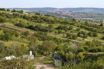 Tradiční záhumenky pomáhají ptákům přežít v zemědělské krajině