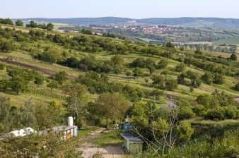 Tradiční záhumenky pomáhají ptákům přežít v zemědělské krajině