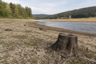 Sucho oslabuje české lesy. Účet může přijít až za roky