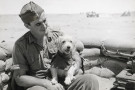 Horrie přežil válku. Pak ho prozradila fotografie v novinách