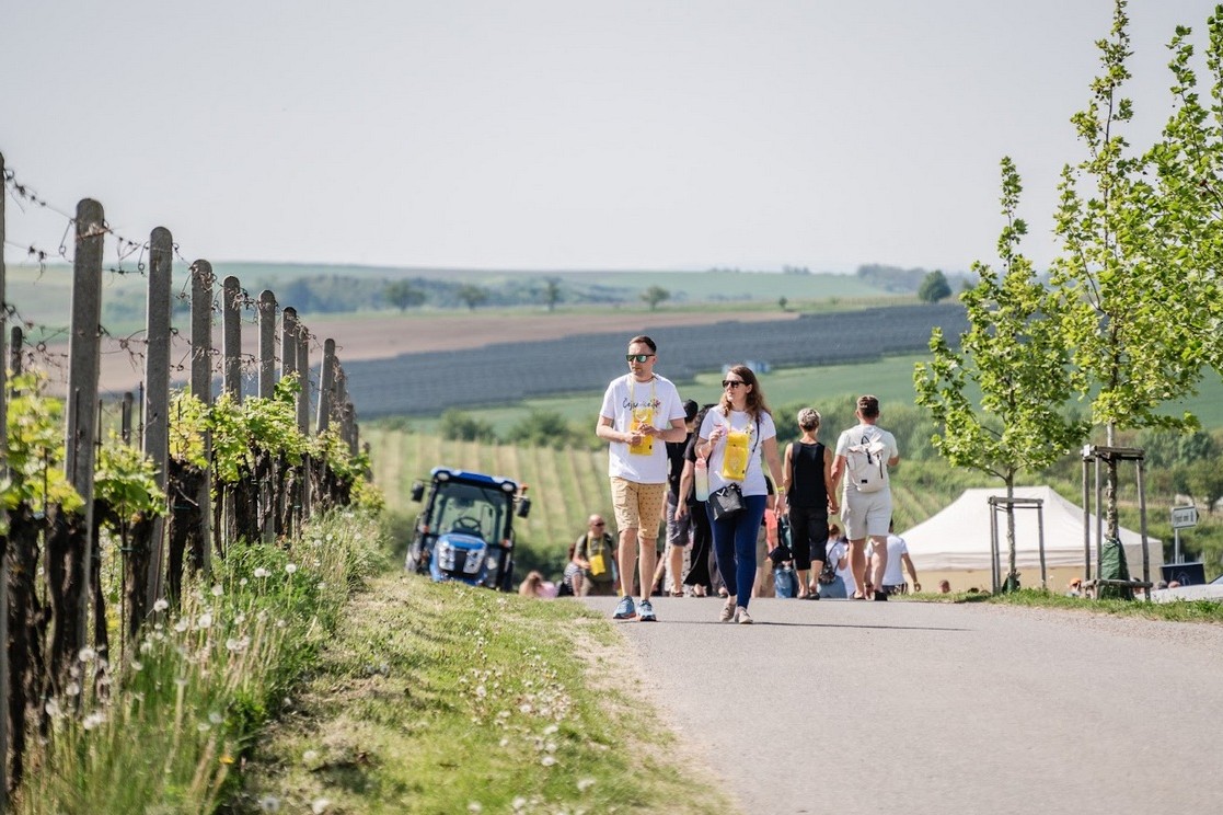 Májové zážitky s vínem aneb kam vyrazit za degustací